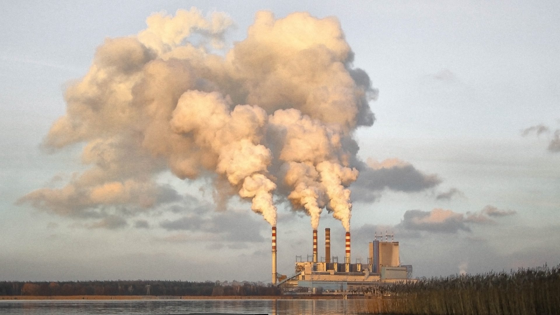 CLIMAS, un hub regional para estudiar el impacto del cambio climático en la salud pública CLIMAS, un hub regional para estudiar el impacto del cambio climático en la salud pública